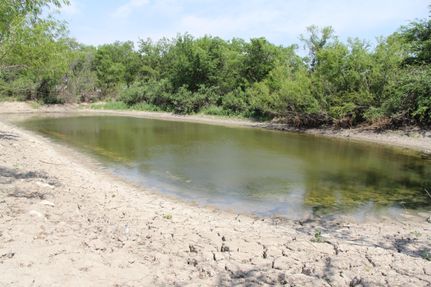 Undeveloped Land in Hamilton County, Texas