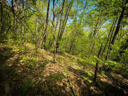 Farm Property in Benton County, Missouri