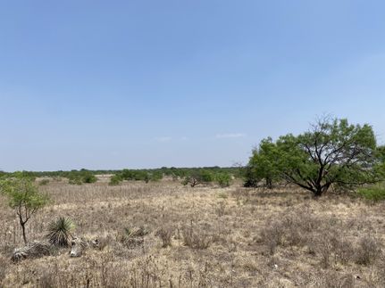 Ranch Property in Menard County, Texas
