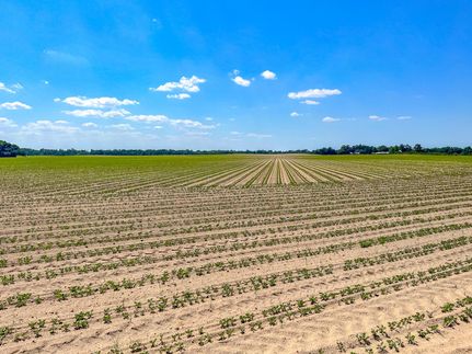 Farm Property in Miller County, Georgia