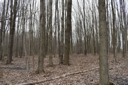 Residential Property in Ashtabula County, Ohio