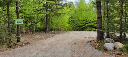 Undeveloped Land in Penobscot County, Maine