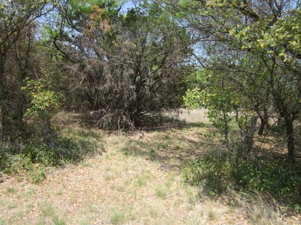 Farm Property in Callahan County, Texas