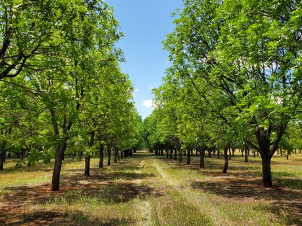 Farm Property in Comanche County, Texas