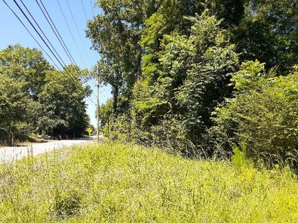 Residential Property in Bibb County, Georgia