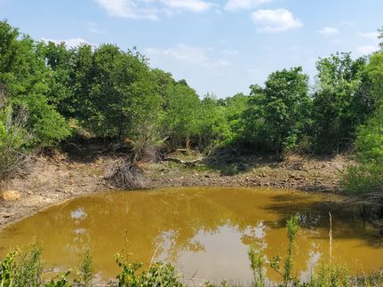 Ranch Property in Comanche County, Texas