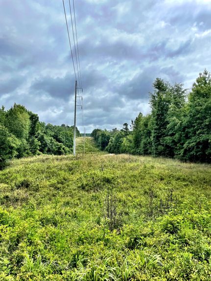 Timberland Property in Twiggs County, Georgia