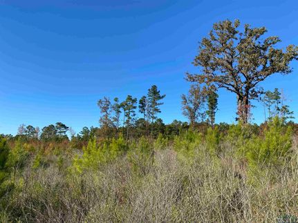 Undeveloped Land in Harrison County, Texas