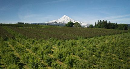 Farm Property in Hood River County, Oregon