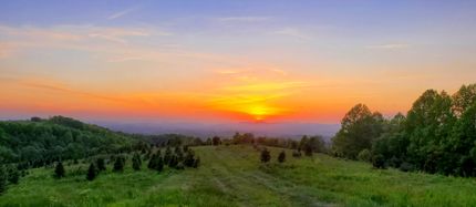 Farm Property in Floyd County, Virginia