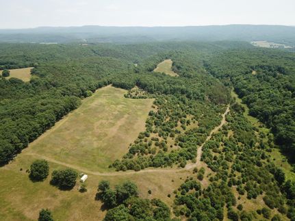 Timberland Property in Mineral County, West Virginia