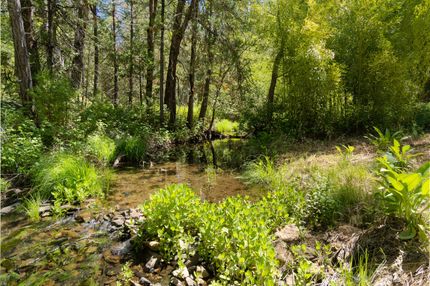 Residential Property in El Dorado County, California