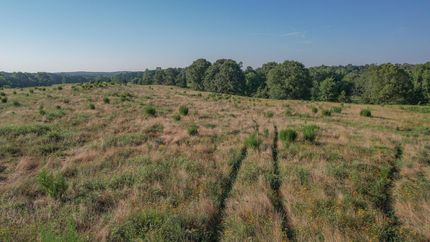 Ranch Property in Cass County, Texas