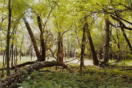 Farm Property in Hughes County, Oklahoma