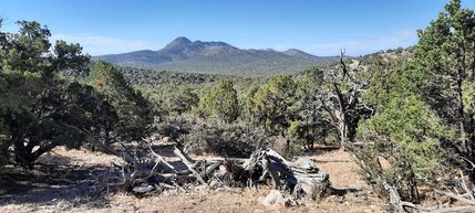 Hunting Land in Coconino County, Arizona