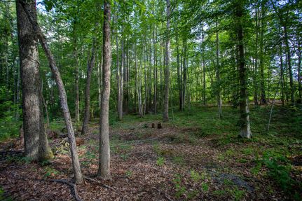 Property in Buckingham County, Virginia