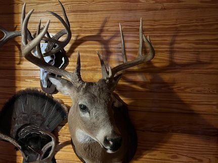 Property in Harper County, Kansas