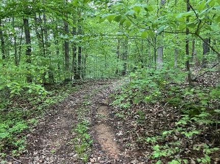 Property in Stewart County, Tennessee