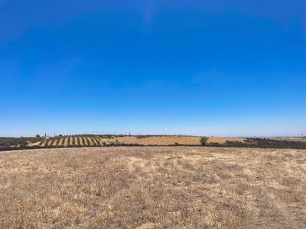 Farm Property in Kern County, California