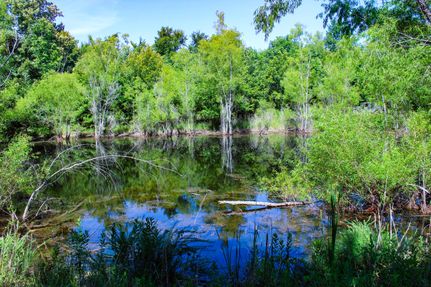 Hunting Land in McCurtain County, Oklahoma
