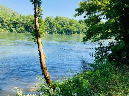 Farm Property in Izard County, Arkansas
