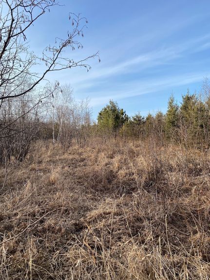 Property in Clark County, Wisconsin