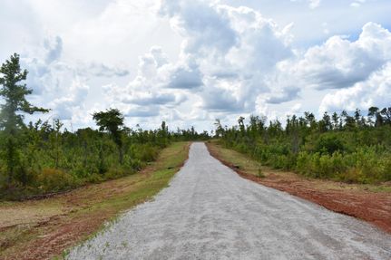 Farm Property in Lee County, Alabama