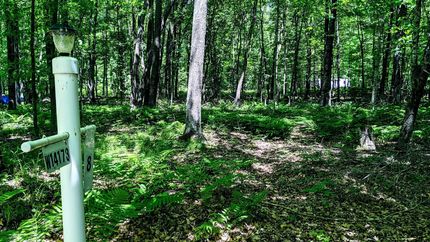 Ranch Property in Rusk County, Wisconsin