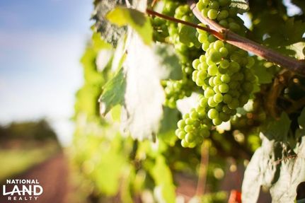 Ranch Property in Albemarle County, Virginia