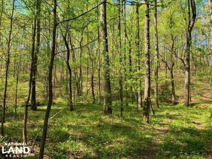 Residential Property in Blount County, Alabama