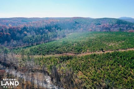 Hunting Land in Bedford County, Virginia