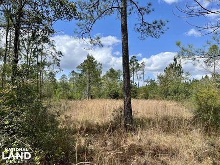 Hunting Land in Escambia County, Alabama