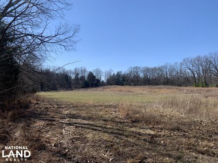 Undeveloped Land in Graves County, Kentucky