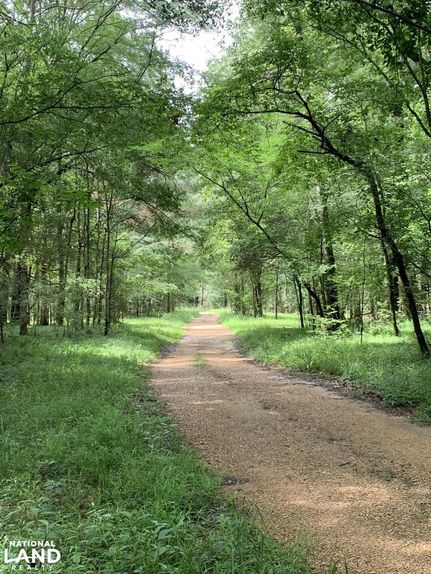 Horse Property in Adams County, Mississippi