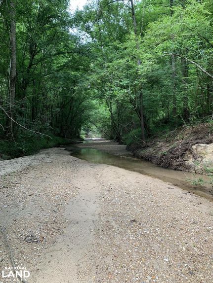 Timberland Property in Wilkinson County, Mississippi