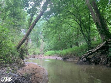 Undeveloped Land in Chester County, South Carolina