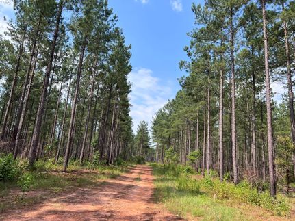 Residential Property in Monroe County, Georgia