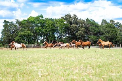 Property in Henderson County, Texas