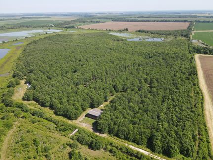 Property in Lonoke County, Arkansas