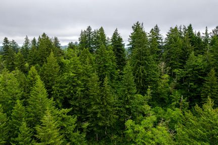 Ranch Property in Lane County, Oregon