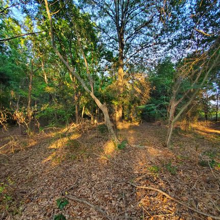 Recreational Property in Camp County, Texas