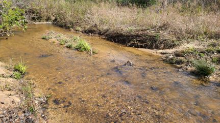 Farm Property in Barbour County, Alabama