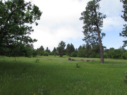 Ranch Property in Crook County, Wyoming