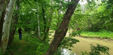 Undeveloped Land in Atoka County, Oklahoma
