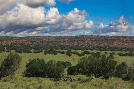 Ranch Property for sale in Apache County, Arizona