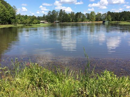 Undeveloped Land in Covington County, Alabama