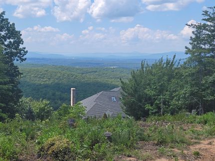 Undeveloped Land in Campbell County, Virginia