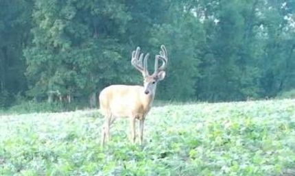 Farm Property in Howard County, Missouri