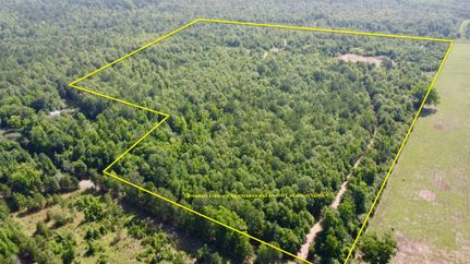 Hunting Land in Cass County, Texas
