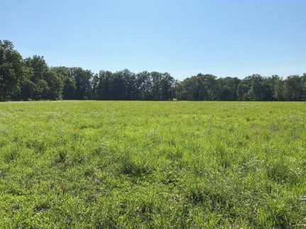 Farm Property in Robertson County, Tennessee